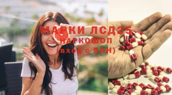 a pvp Володарск